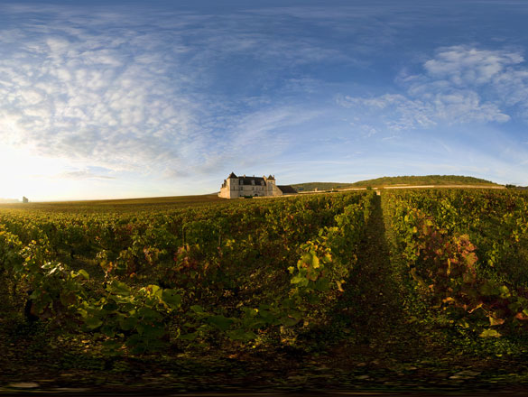 Vougeot Vougeot